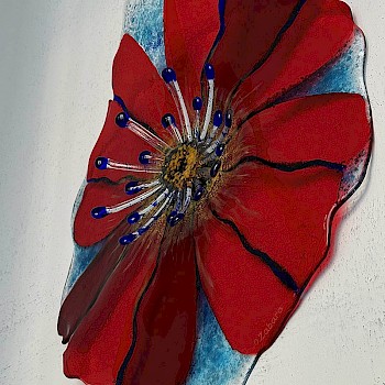 "No Poppy"